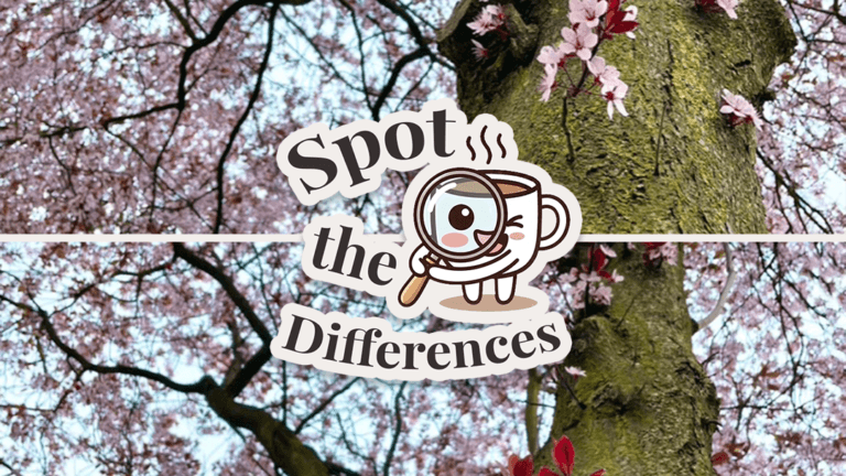 Spot the Differences: Blossoms in Brunssum