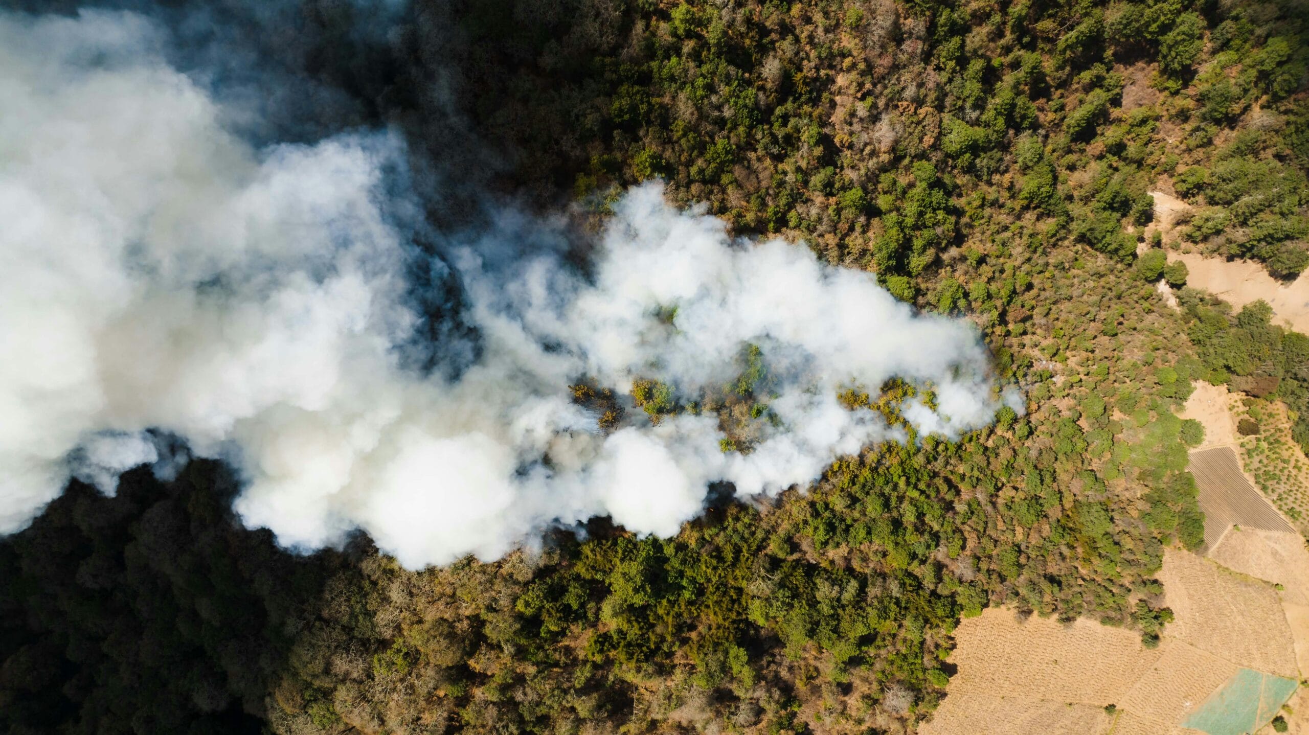 Brand Heldense Bossen onder controle: Campinggasten veilig en vakantie gaat door! 