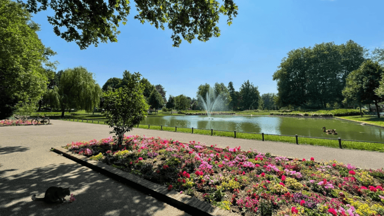 Spot the Differences: View of the duck pond in the City Park in Sittard