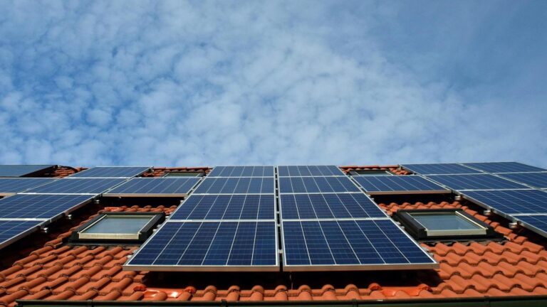 Roermond Is Saving Energy, Planting Trees and Cutting Emissions: Here Is What Is Happening in Your Neighborhood